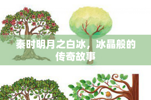 秦时明月之白冰，冰晶般的传奇故事