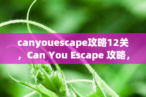 canyouescape攻略12关，Can You Escape 攻略，解锁密室逃脱的终极技巧