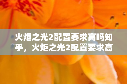 火炬之光2配置要求高吗知乎，火炬之光2配置要求高吗？