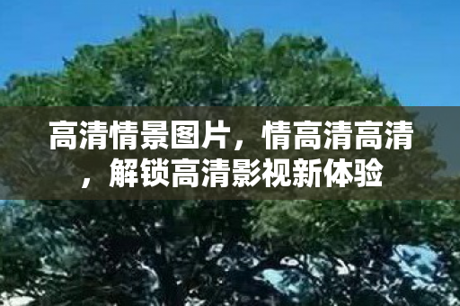 高清情景图片，情高清高清，解锁高清影视新体验