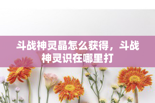 斗战神灵晶怎么获得，斗战神灵识在哪里打