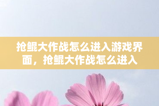 抢鲲大作战怎么进入游戏界面，抢鲲大作战怎么进入