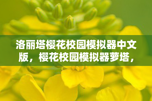 洛丽塔樱花校园模拟器中文版，樱花校园模拟器萝塔，探索虚拟世界的无限可能