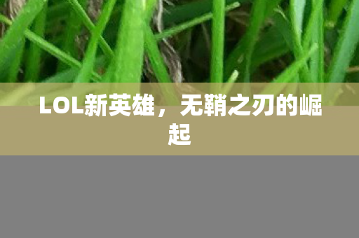 LOL新英雄，无鞘之刃的崛起