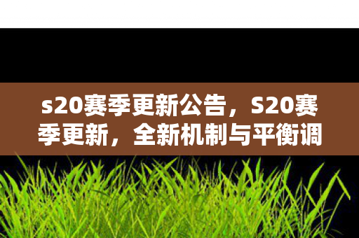 s20赛季更新公告，S20赛季更新，全新机制与平衡调整，重塑游戏格局