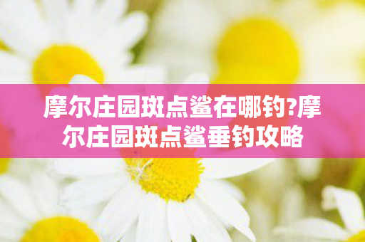 摩尔庄园斑点鲨在哪钓?摩尔庄园斑点鲨垂钓攻略