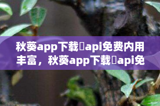 秋葵app下载汅api免费内用丰富，秋葵app下载汅api免费下载，探索娱乐新体验