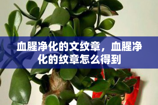 血腥净化的文纹章,血腥净化的纹章怎么得到 血腥净化的文纹章,血腥净化的纹章怎么得到