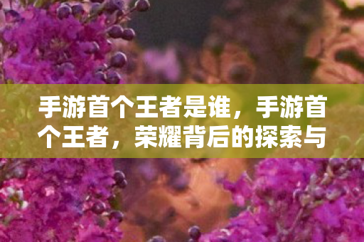 手游首个王者是谁,手游首个王者,荣耀背后的探索与挑战 手游首个王者是谁,手游首个王者,荣耀背后的探索与挑战