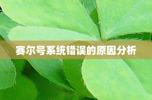 赛尔号系统错误的原因分析