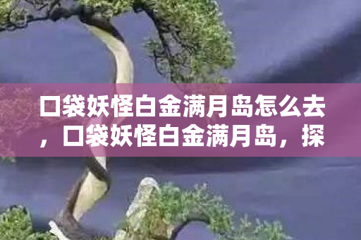 口袋妖怪白金满月岛怎么去，口袋妖怪白金满月岛，探索未知世界的奇妙旅程