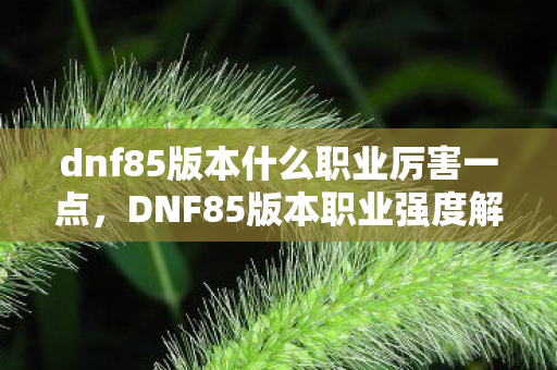 dnf85版本什么职业厉害一点，DNF85版本职业强度解析，哪些职业独领风骚？