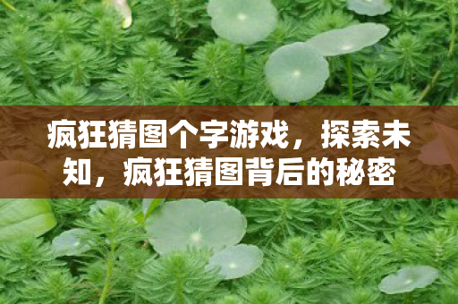 疯狂猜图个字游戏，探索未知，疯狂猜图背后的秘密