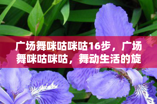 广场舞咪咕咪咕16步,广场舞咪咕咪咕,舞动生活的旋律,共享健康的快乐 广场舞咪咕咪咕16步,广场舞咪咕咪咕,舞动生活的旋律,共享健康的快乐