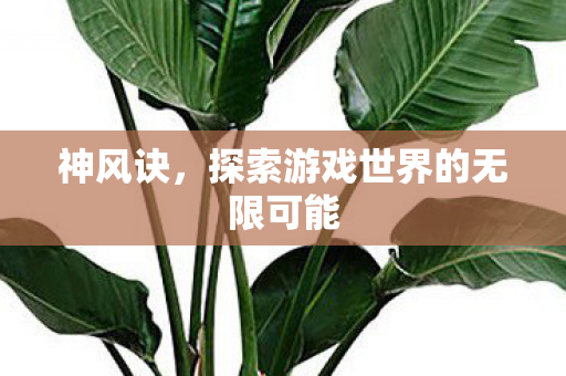 神风诀，探索游戏世界的无限可能