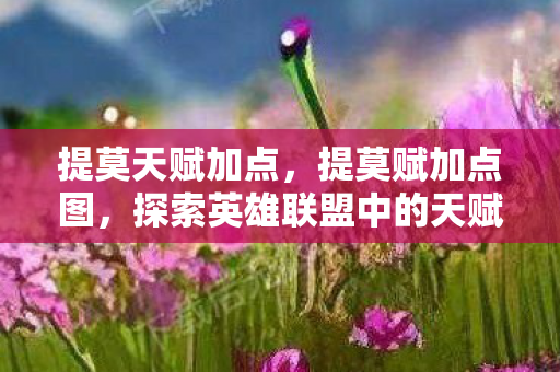 提莫天赋加点,提莫赋加点图,探索英雄联盟中的天赋与策略 提莫天赋加点,提莫赋加点图,探索英雄联盟中的天赋与策略