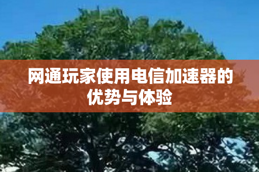 网通玩家使用电信加速器的优势与体验