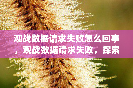 观战数据请求失败怎么回事，观战数据请求失败，探索游戏观战系统的技术挑战与解决方案