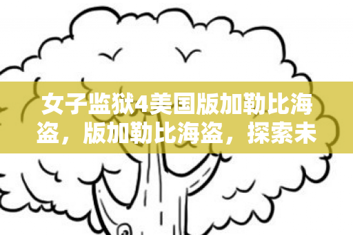 女子监狱4美国版加勒比海盗，版加勒比海盗，探索未知海域的奇幻冒险