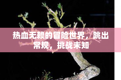 热血无赖的冒险世界，跳出常规，挑战未知