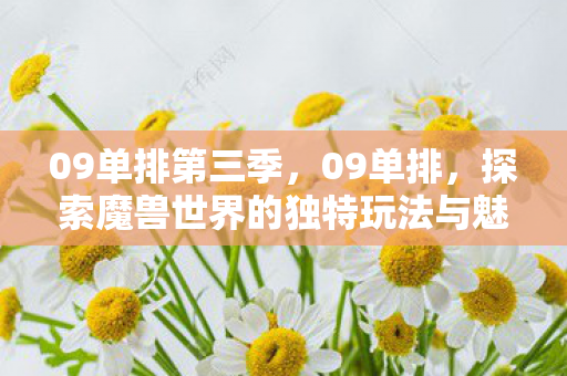 09单排第三季，09单排，探索魔兽世界的独特玩法与魅力