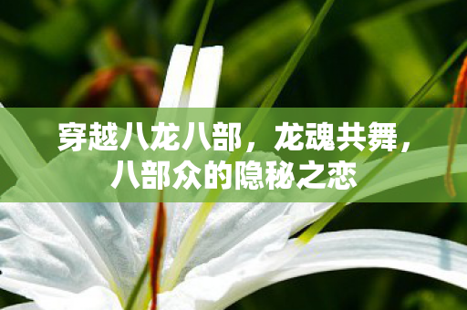穿越八龙八部，龙魂共舞，八部众的隐秘之恋