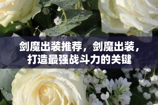 剑魔出装推荐，剑魔出装，打造最强战斗力的关键