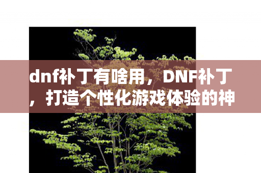 dnf补丁有啥用，DNF补丁，打造个性化游戏体验的神奇工具