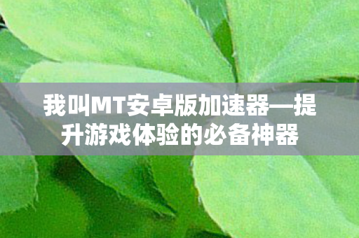 我叫MT安卓版加速器—提升游戏体验的必备神器