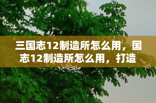 三国志12制造所怎么用，国志12制造所怎么用，打造高效生产链的秘诀