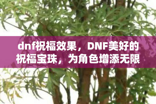 dnf祝福效果，DNF美好的祝福宝珠，为角色增添无限可能