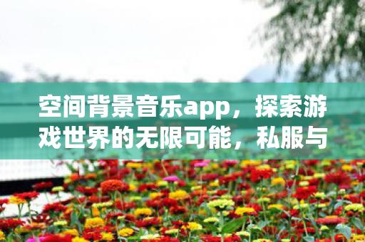 空间背景音乐app，探索游戏世界的无限可能，私服与官方服务器的独特魅力