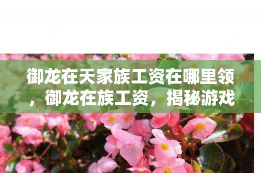 御龙在天家族工资在哪里领，御龙在族工资，揭秘游戏产业背后的薪酬秘密