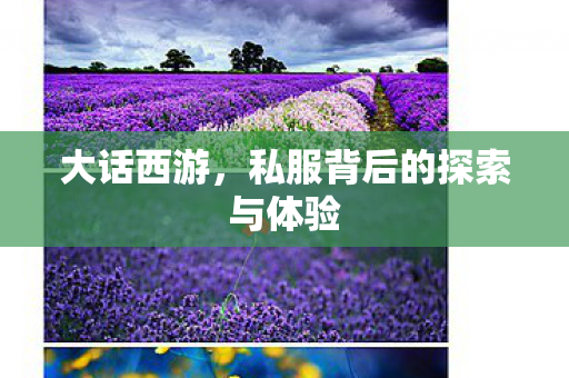 大话西游，私服背后的探索与体验