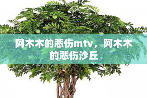 阿木木的悲伤mtv，阿木木的悲伤沙丘