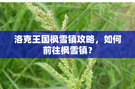 洛克王国枫雪镇攻略，如何前往枫雪镇？