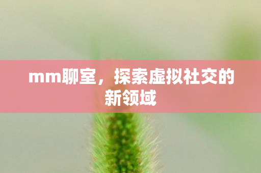 mm聊室，探索虚拟社交的新领域