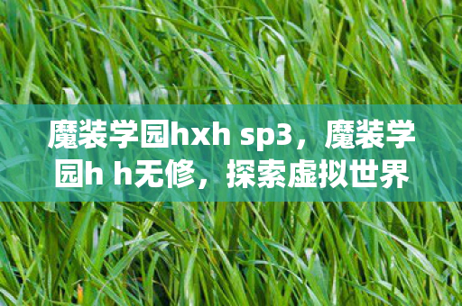 魔装学园hxh sp3，魔装学园h h无修，探索虚拟世界的无限可能
