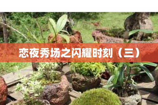 恋夜秀场之闪耀时刻（三）