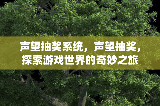 声望抽奖系统，声望抽奖，探索游戏世界的奇妙之旅