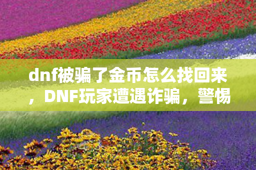dnf被骗了金币怎么找回来，DNF玩家遭遇诈骗，警惕游戏内黑市交易风险