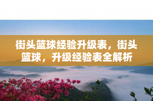 街头篮球经验升级表，街头篮球，升级经验表全解析