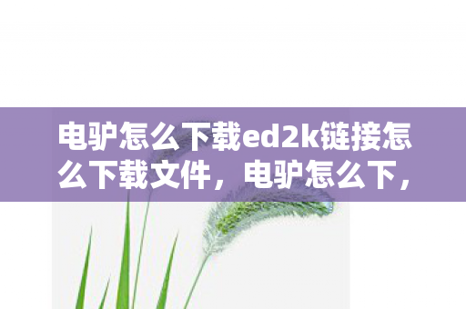 电驴怎么下载ed2k链接怎么下载文件,电驴怎么下,高效、安全、合法的下载指南 电驴怎么下载ed2k链接怎么下载文件,电驴怎么下,高效、安全、合法的下载指南