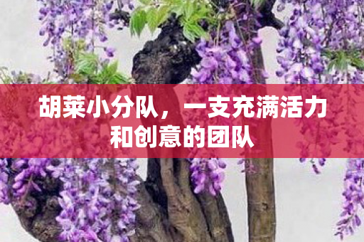 胡莱小分队，一支充满活力和创意的团队