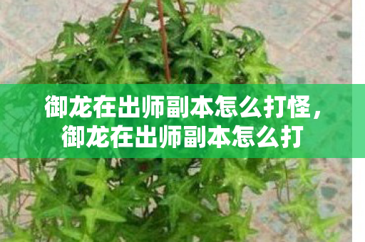 御龙在出师副本怎么打怪，御龙在出师副本怎么打