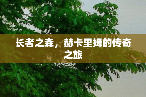 长者之森，赫卡里姆的传奇之旅