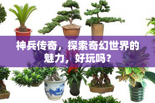 神兵传奇，探索奇幻世界的魅力，好玩吗？