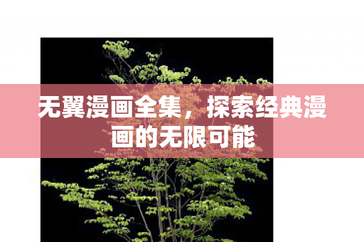 无翼漫画全集，探索经典漫画的无限可能