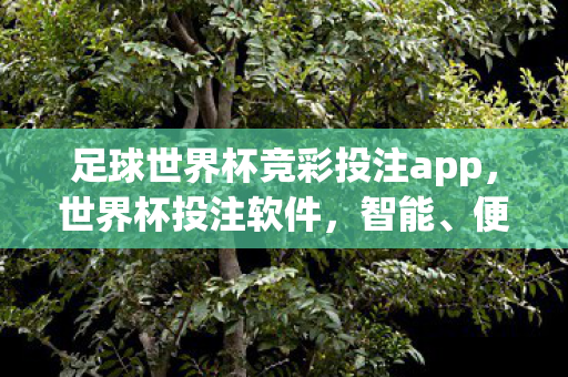 足球世界杯竞彩投注app，世界杯投注软件，智能、便捷与安全的完美结合