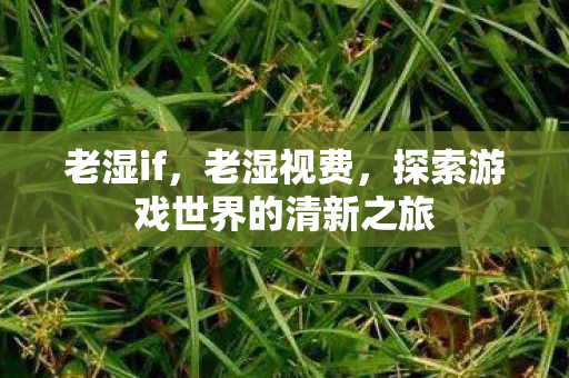 老湿if，老湿视费，探索游戏世界的清新之旅